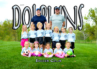 Dolphins Soccer Spring 2015